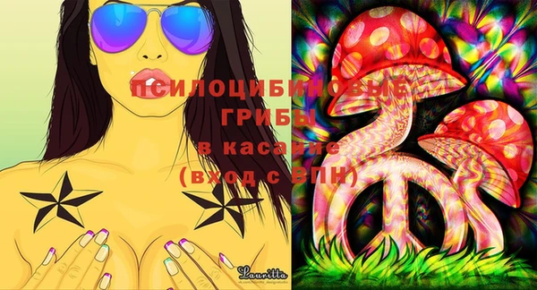 прущие грибы Лиски