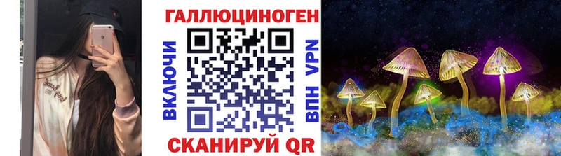 купить  цена  Зверево  Псилоцибиновые грибы прущие грибы 