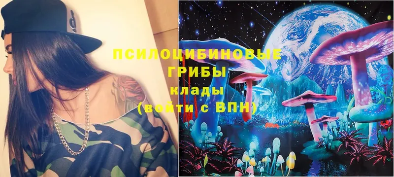 Галлюциногенные грибы Magic Shrooms  Зверево 