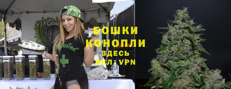 Бошки марихуана THC 21%  Зверево 